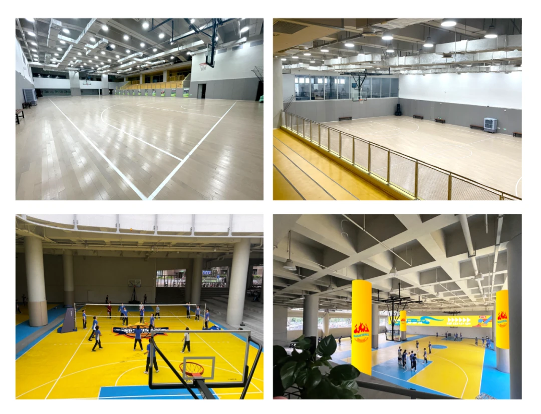 篮球小学生基本功训练教学反思总结_0
